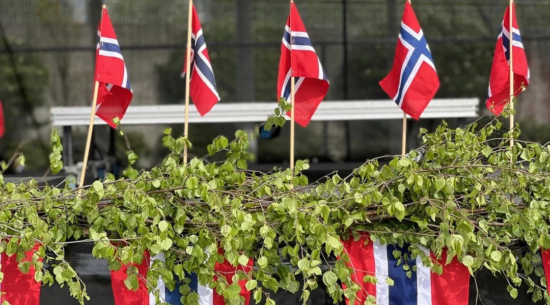 norske flagg i blomsterbed