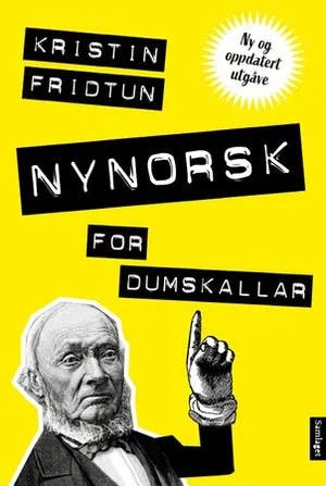 Omslag: "Nynorsk for dumskallar" av Kristin Fridtun